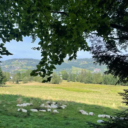 Z Giewontem W Tle Apart&room Apartmán *